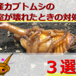 Thumbnail of post image 081